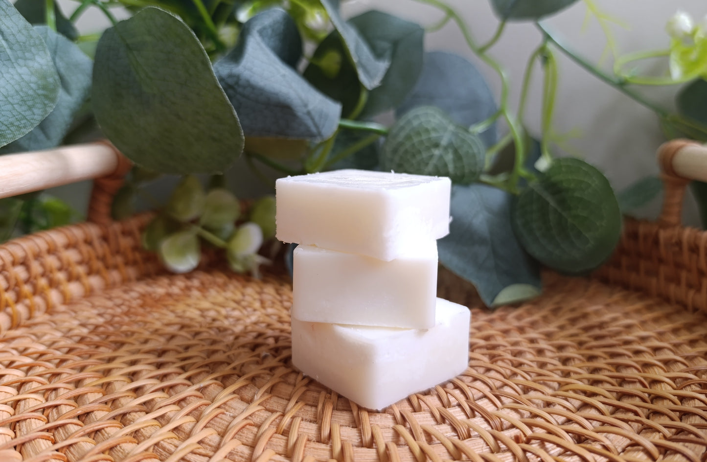 Teacher / SNA Gift Set – Soy Wax Melts & Handmade Wooden Apple Decoration