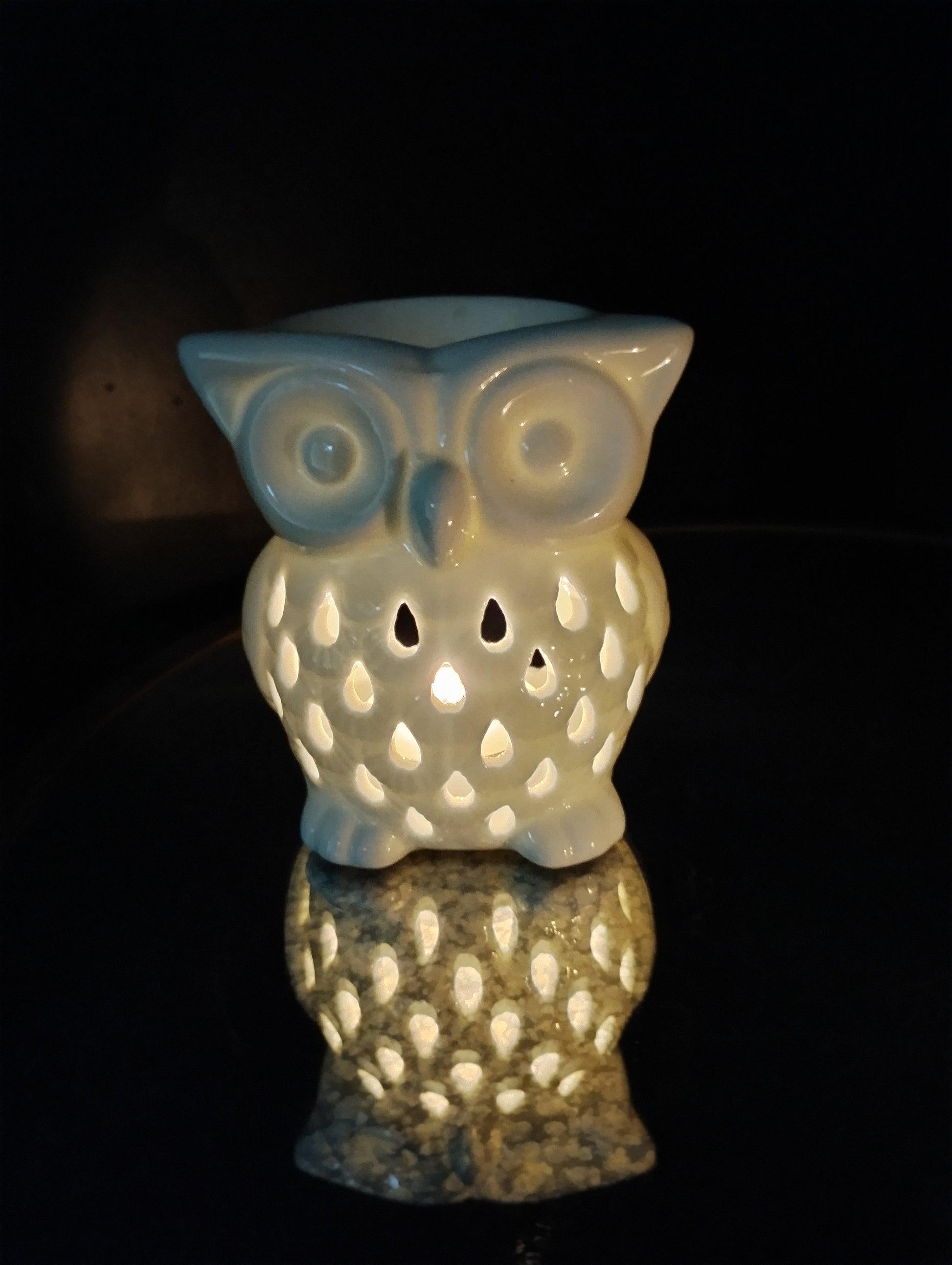 Owl Wax Warmer | White Ceramic | Oil & Wax Warmer