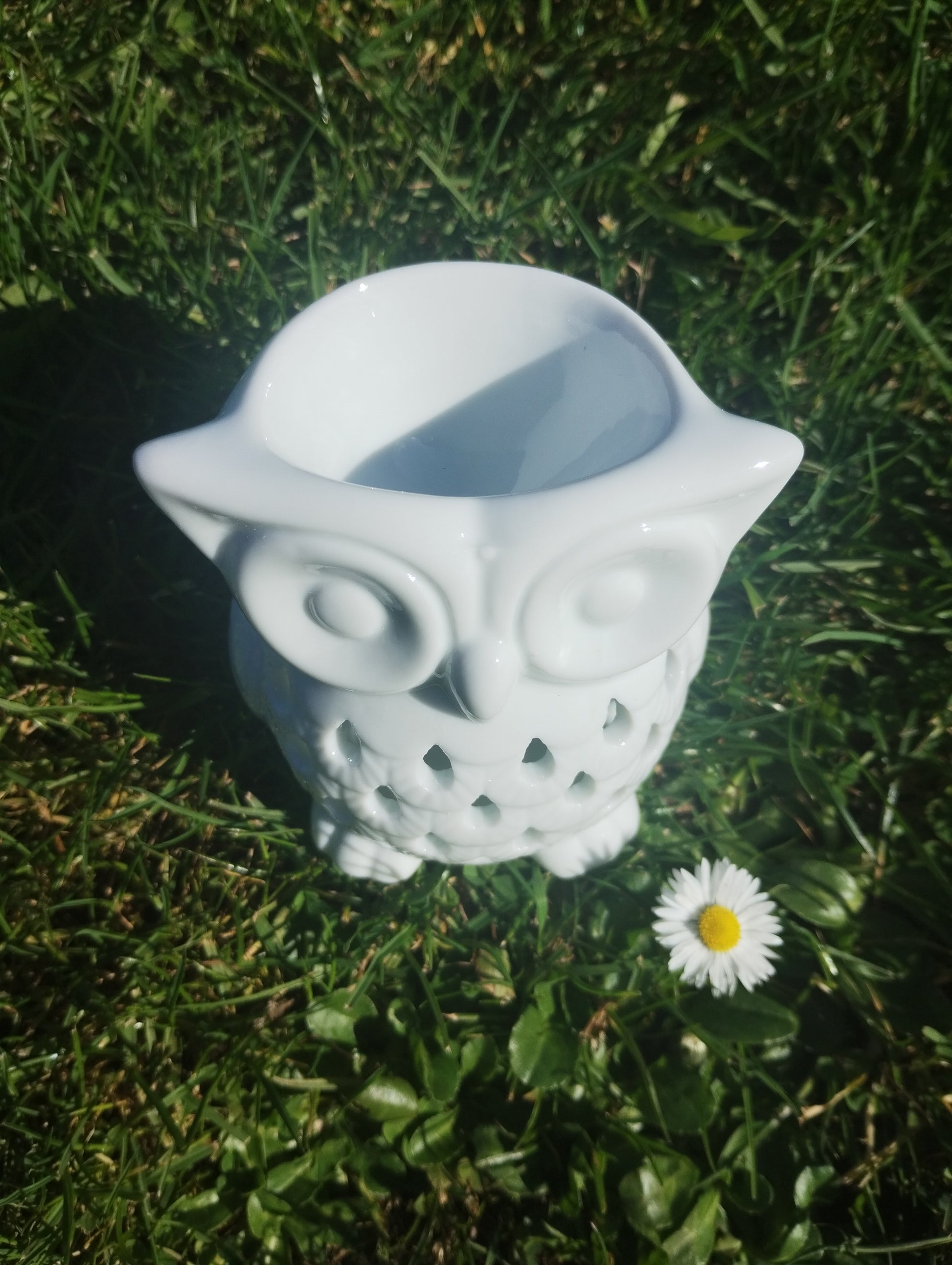 Owl Wax Warmer | White Ceramic | Oil & Wax Warmer