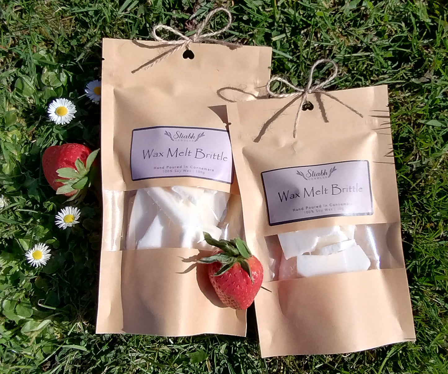 Strawberry & Rhubarb Soy Wax Melt Brittle Bag | Limited Edition