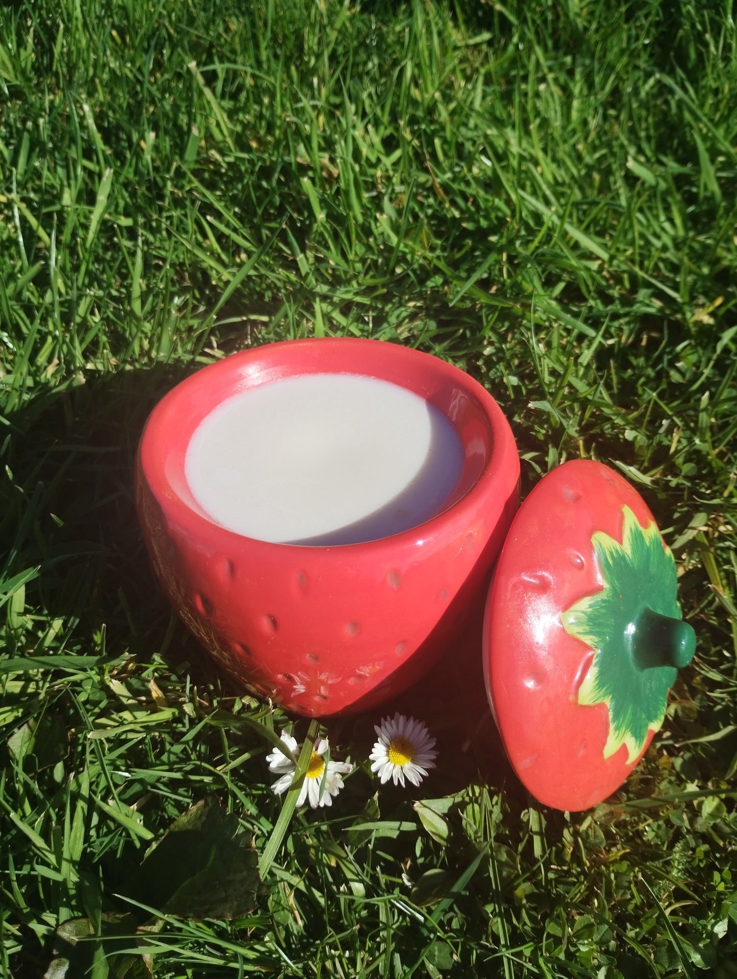 Strawberry Lidded Oil & Wax Burner