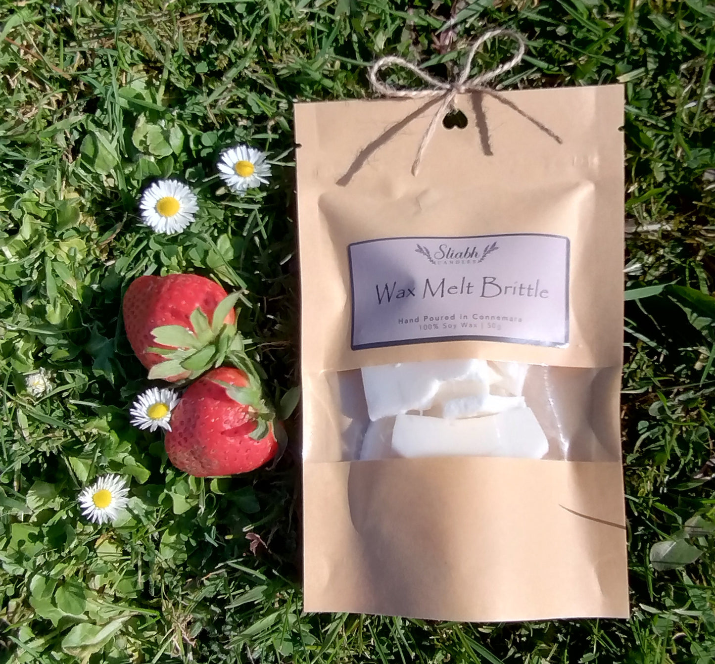 Strawberry Gift Box Set |  Wax Melt Burner | Strawberry & Rhubarb Soy Wax Melts
